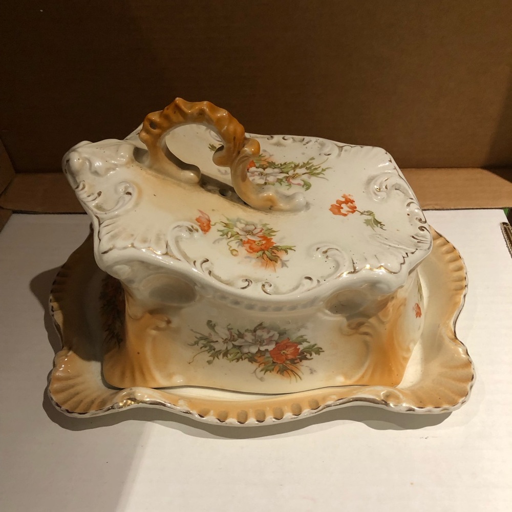 Vintage Cheese Covered Dish with Floral design